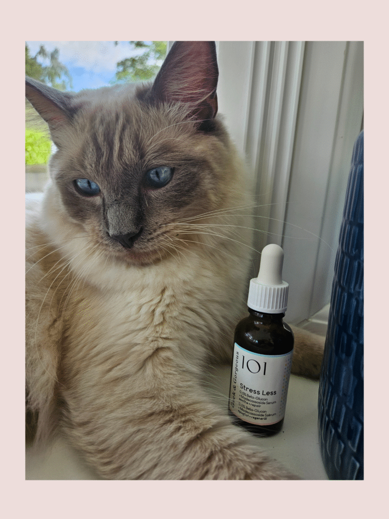 Cat next to face serum