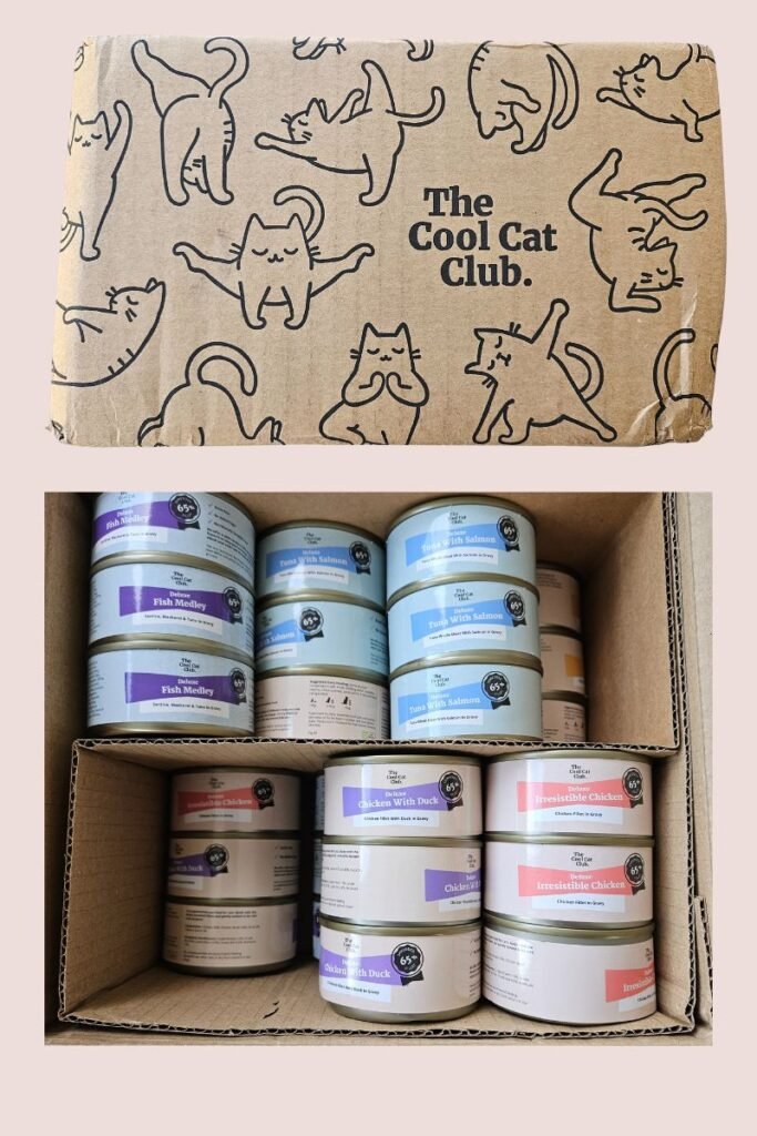 cool cat club packaging