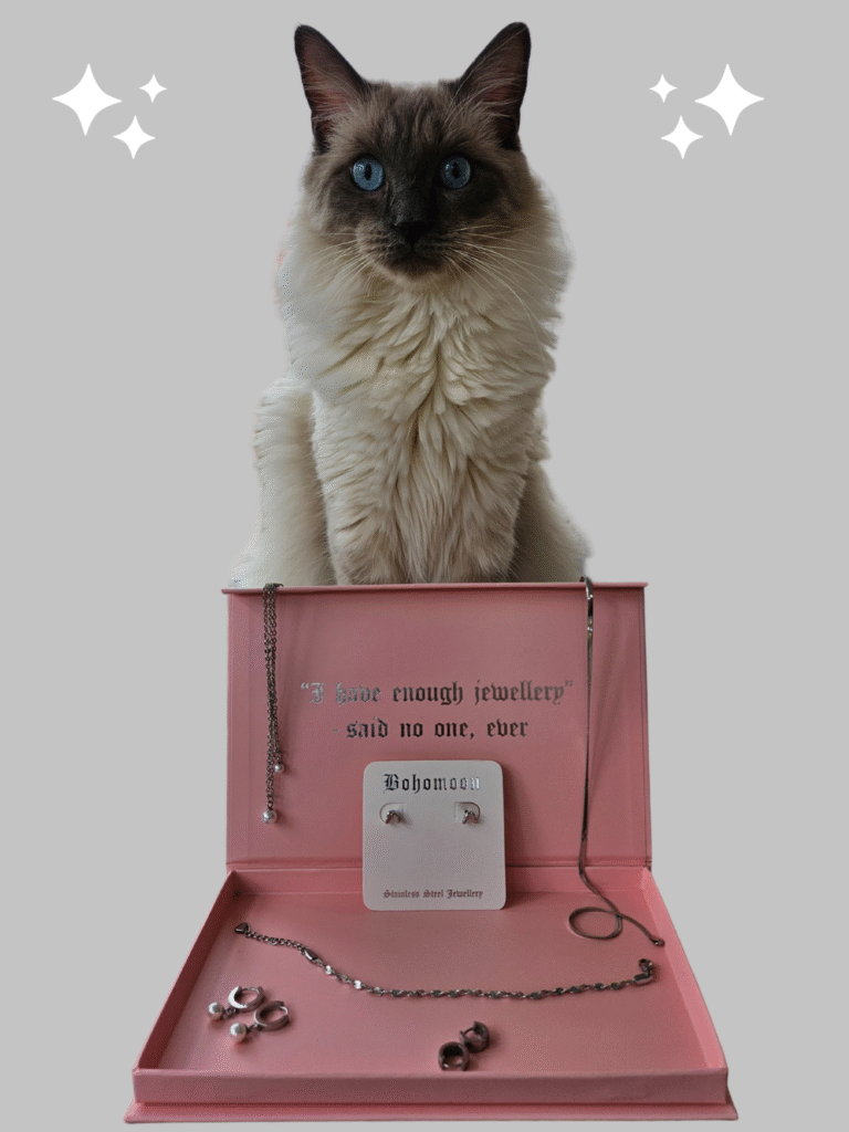 Cat sitting by jewellry box