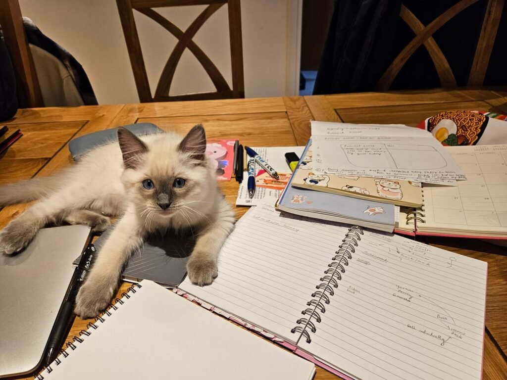 Cute cat, disorganised work space