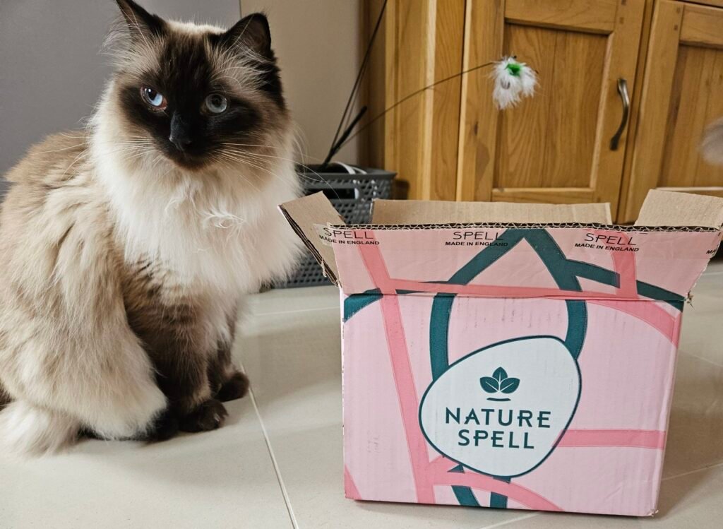 Ragdoll cat sitting next to Nature Spell box